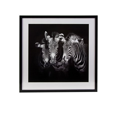Obraz Zebry czarno bialy  63 x 63 cm